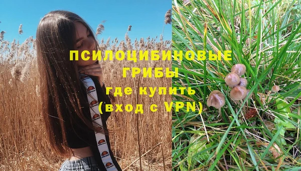 наркотики Богданович
