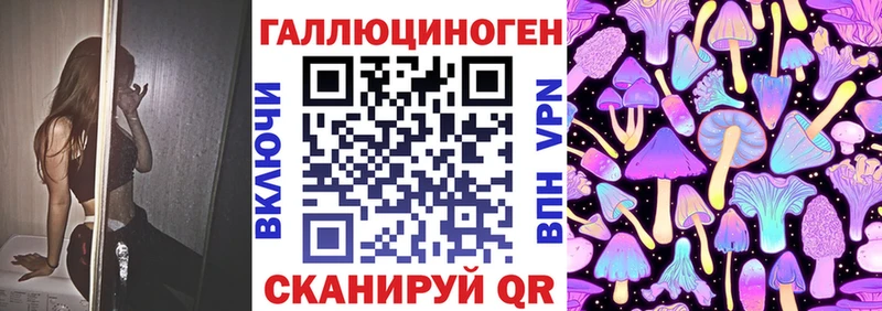 даркнет сайт  ссылка на мегу как войти  Галлюциногенные грибы Psilocybine cubensis  Чёрмоз 